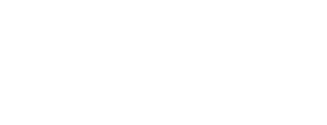 Developer Icon
