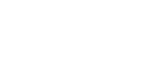Developer Icon